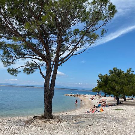 Family Apartments Vesna- 100 M Beach -Center Crikvenica Exterior foto